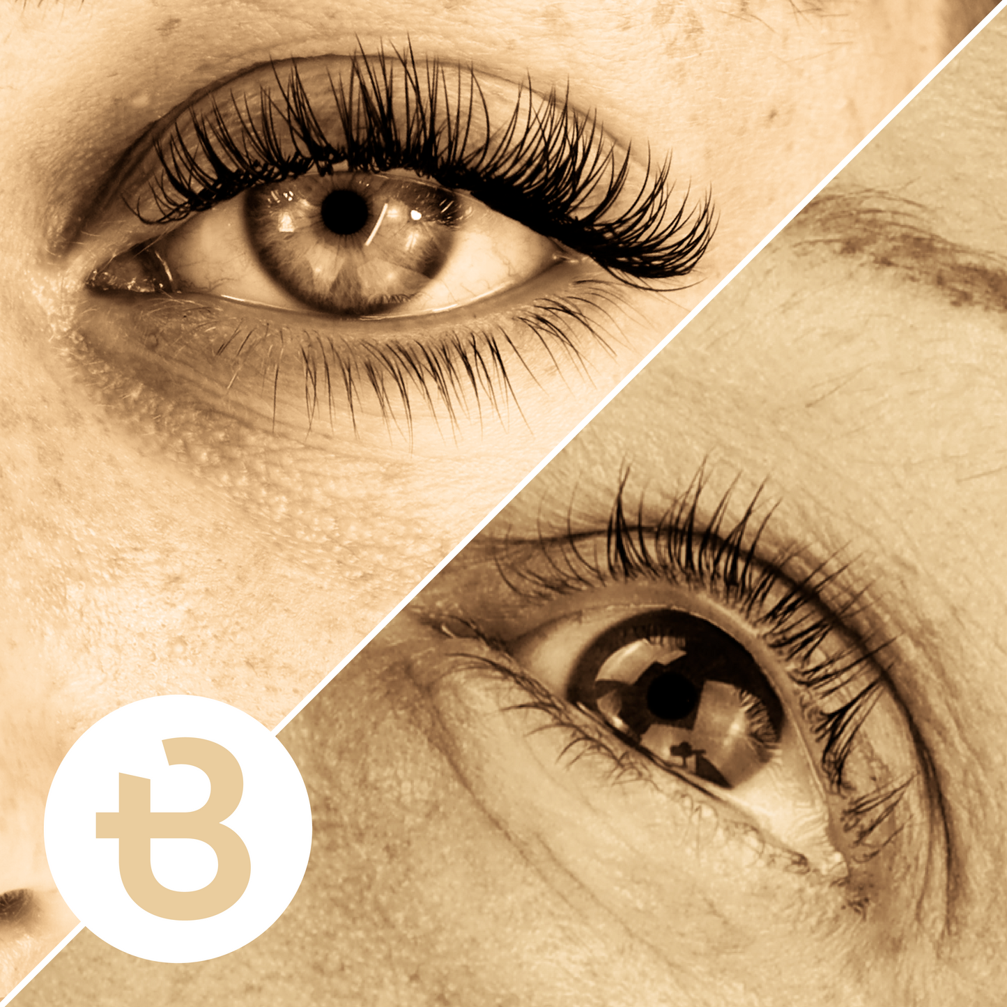 THE COMPLETE EYELASH COURSE BUNDLE